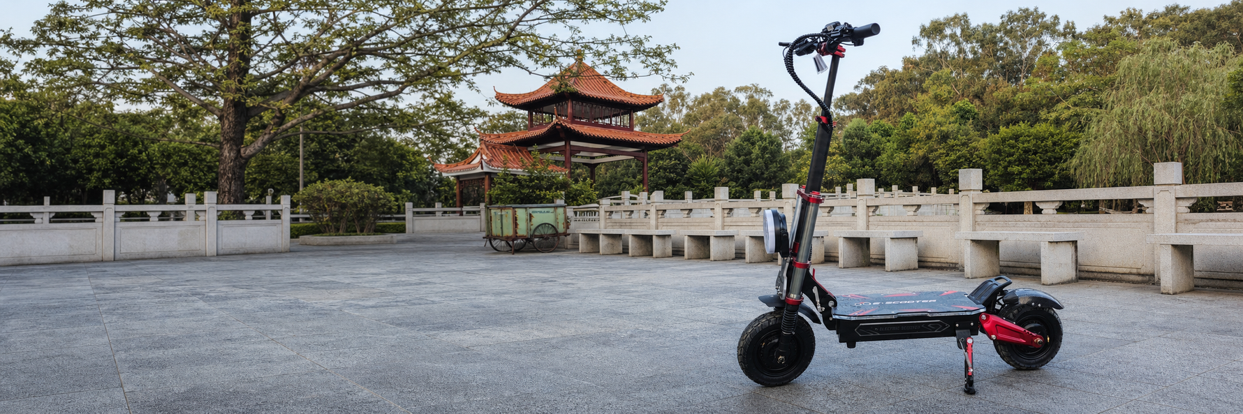 Boyueda S-Serie E-Scooter im Park