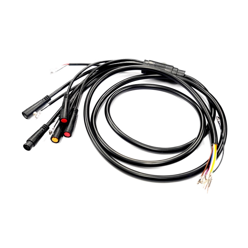 Hauptkabelbaum – BLADE MINI PRO