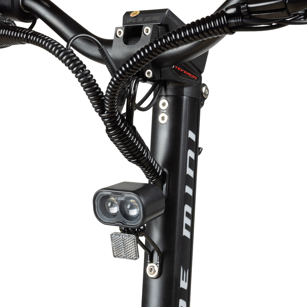 Teverun Blade Mini Pro (CH Edition)