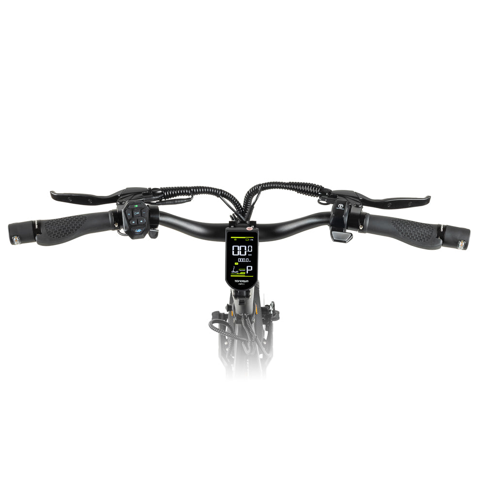 Teverun Blade Mini Pro (CH Edition)