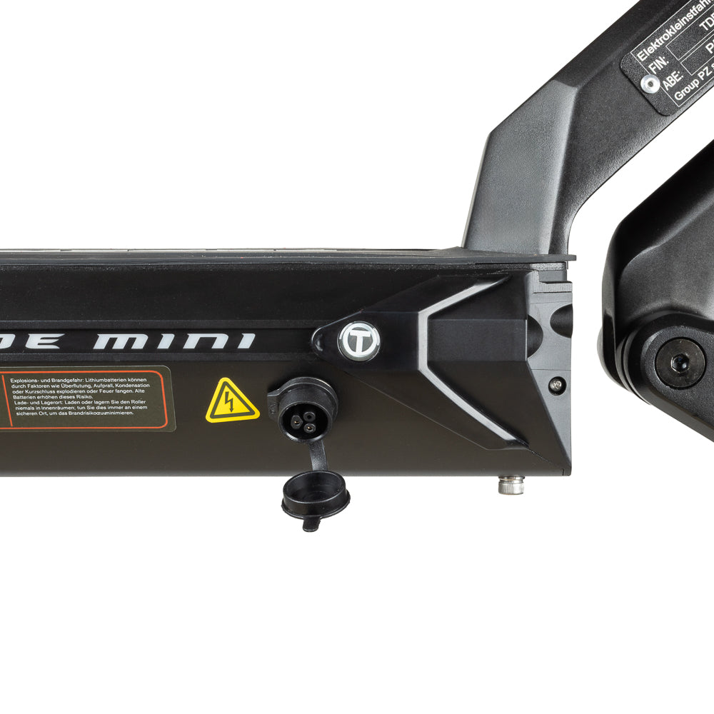 Teverun Blade Mini Pro (CH Edition)