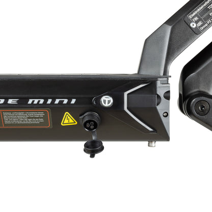 Teverun Blade Mini Pro (CH Edition)