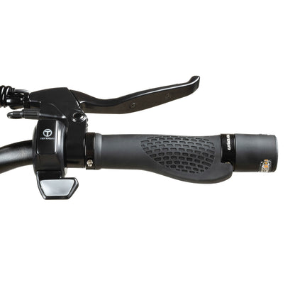 Teverun Blade Mini Pro (CH Edition)