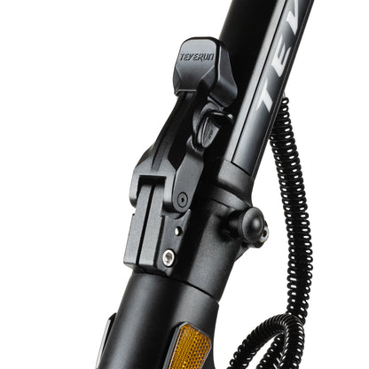 Teverun Blade Mini Pro (CH Edition)