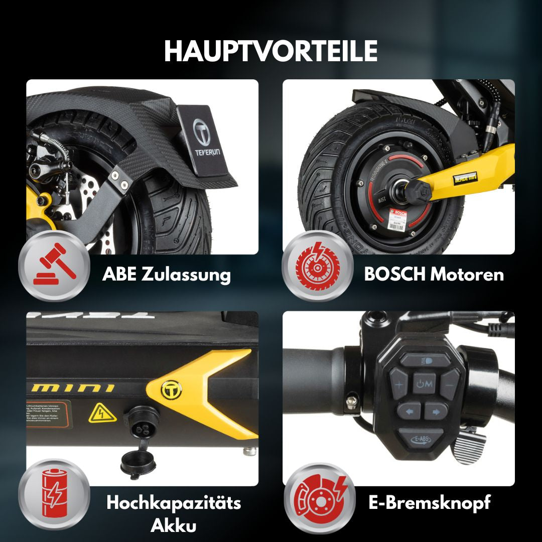 Teverun Blade Mini Pro (CH Edition)