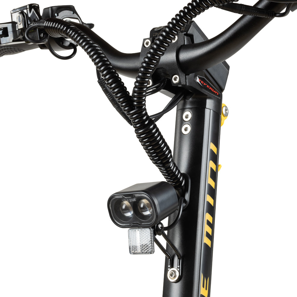 Teverun Blade Mini Pro (CH Edition)