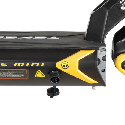 Teverun Blade Mini Pro (CH Edition)