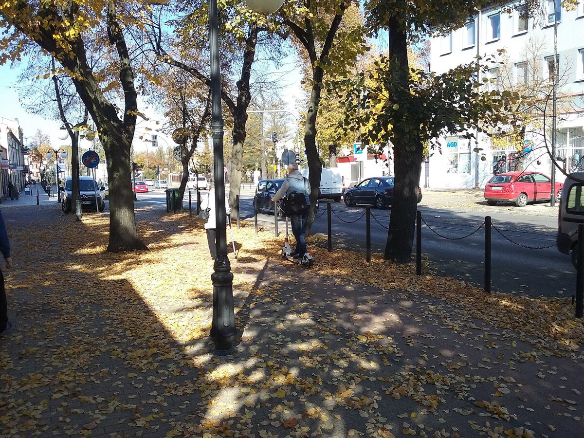 Person riding an e-scooter on a tree-lined city sidewalk