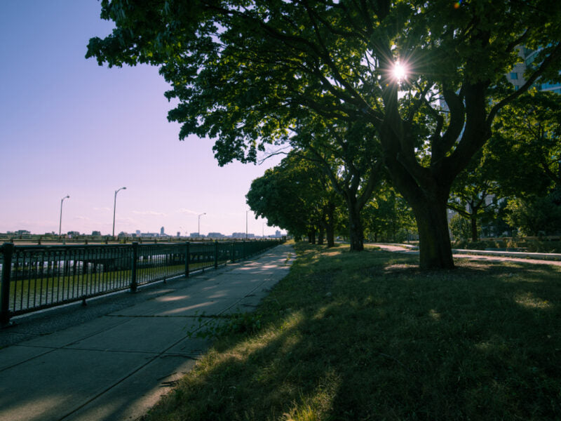 Riverside path under trees in the late afternoon